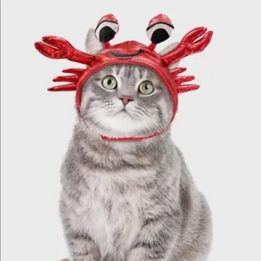 Cat “crab” Costume